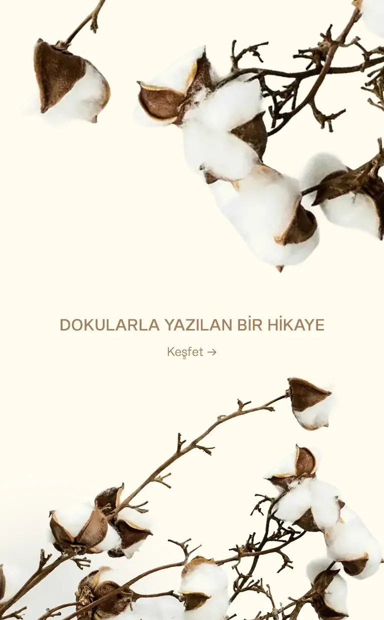 Hakkımızda