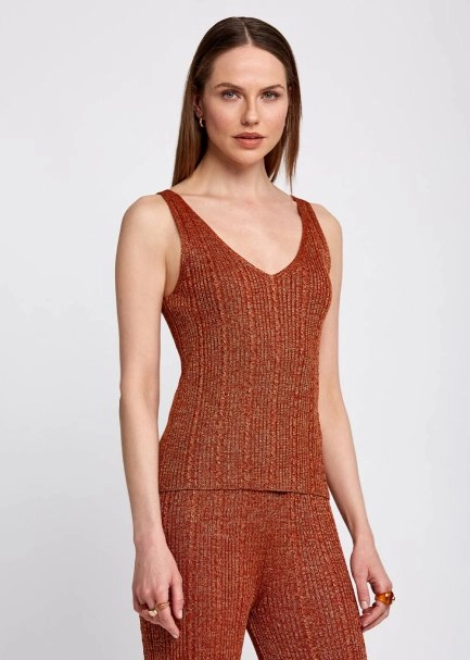Sleeveless V Neck Cinnamon Knit Top - 1