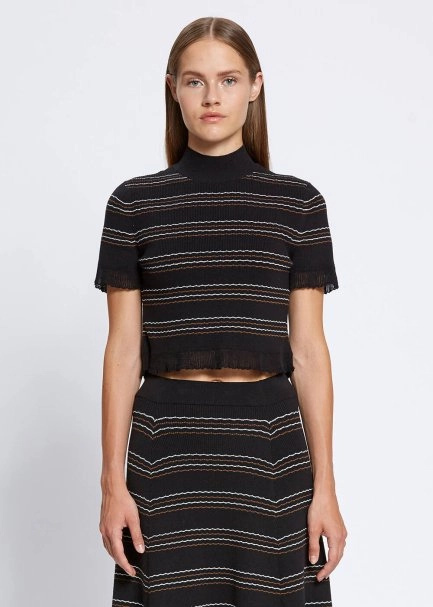STRIPED BLACK CROP KNIT TOP - 1