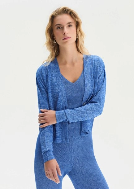 V Yaka Mavi Triko Hırka - 1